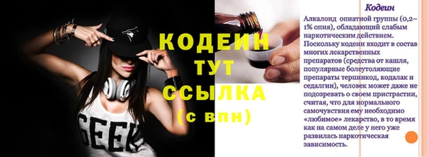 ПСИЛОЦИБИНОВЫЕ ГРИБЫ Арсеньев