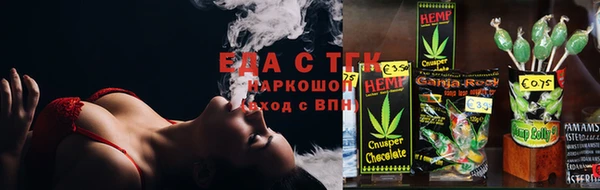 сатива Аркадак