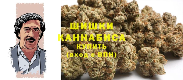 сатива Аркадак