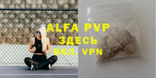 сатива Аркадак
