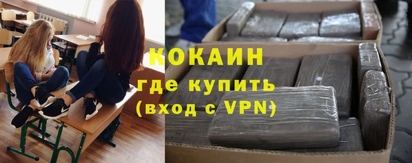 сатива Аркадак
